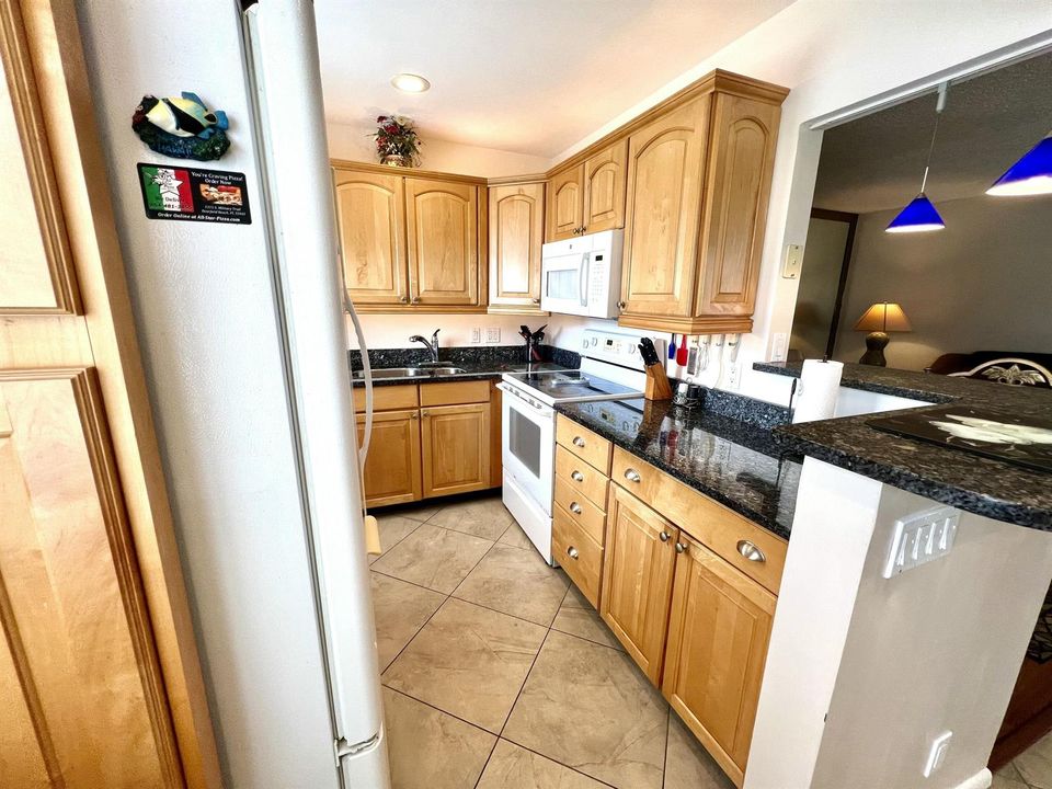 Parnham P Kitchen view 1