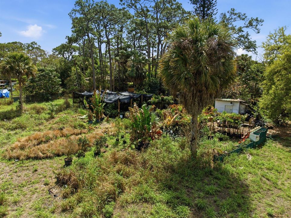 5133_Pine_Grove_Dr_011