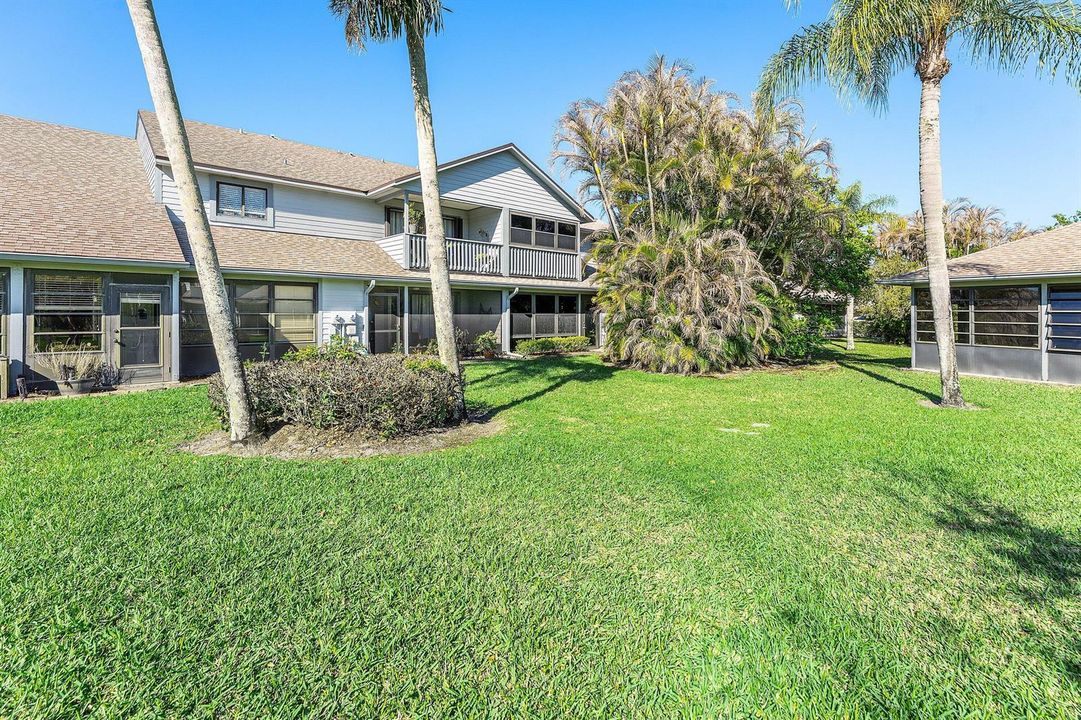rear yard