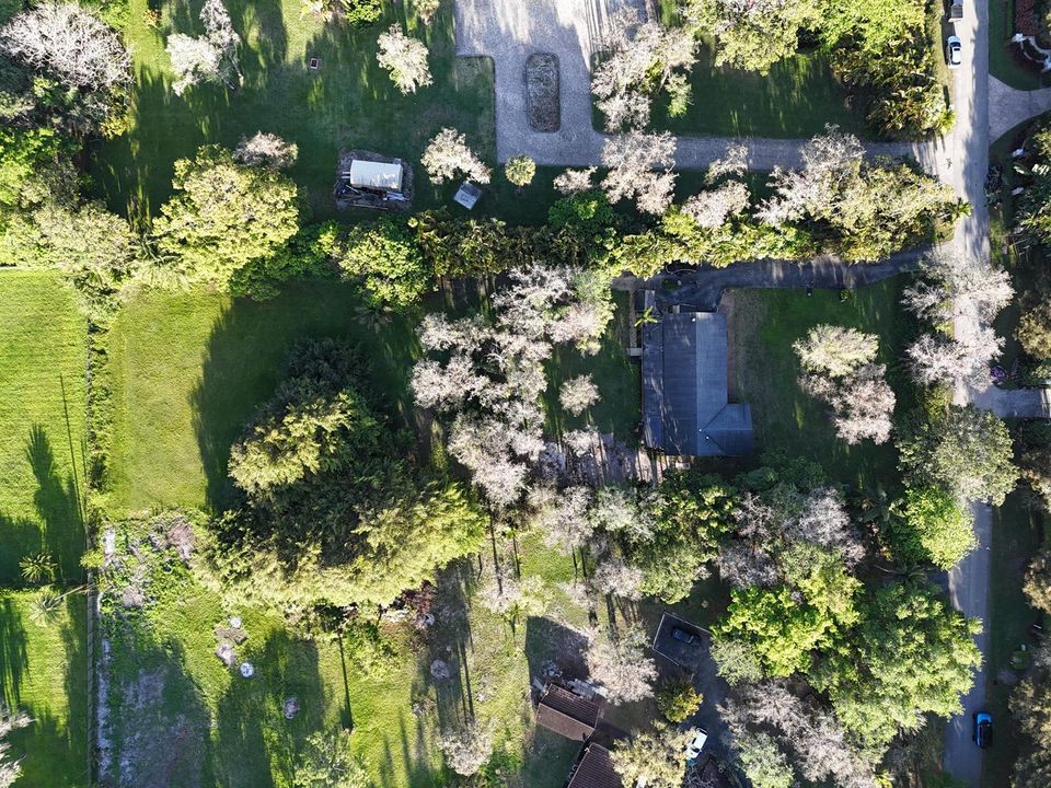 a1bz5DJI_20260320181856_0348_D