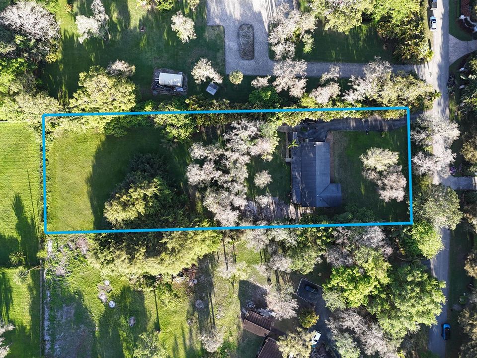 a1bz5DJI_20260320181856_0348_Dg