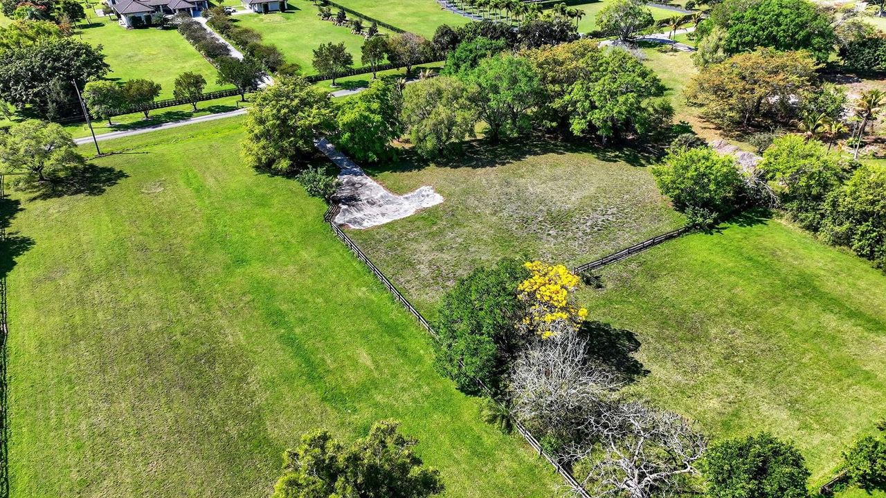 IMG_1310