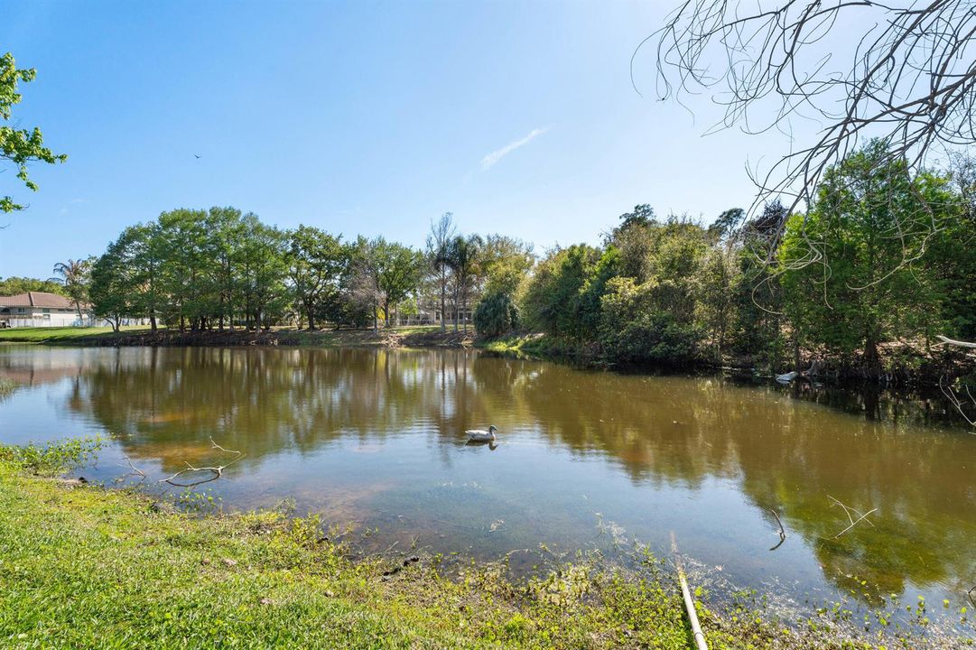 lake view