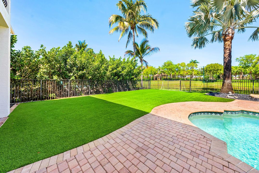 Astroturf Yard