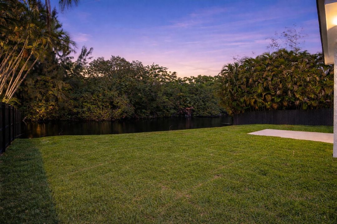 Backyard