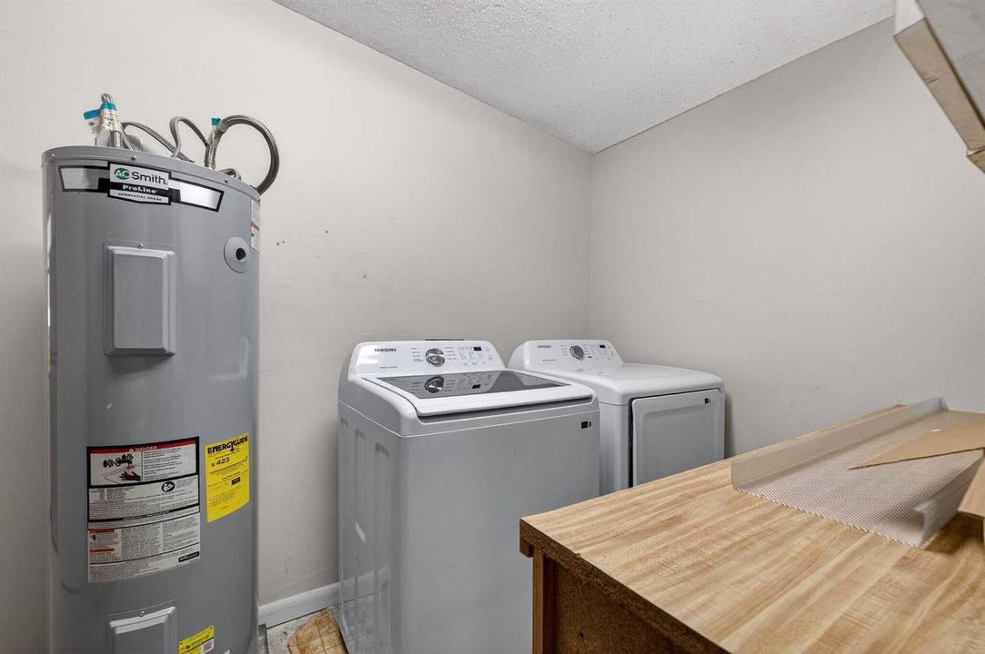 35-web-or-mls-3A5A4476