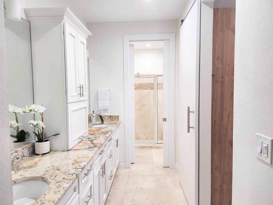Master bathroom view