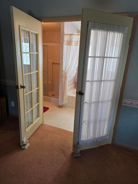 Glass French doors