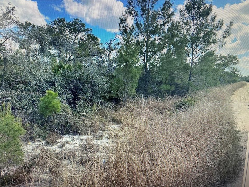 На продажу: $9,999 (0.26 acres)
