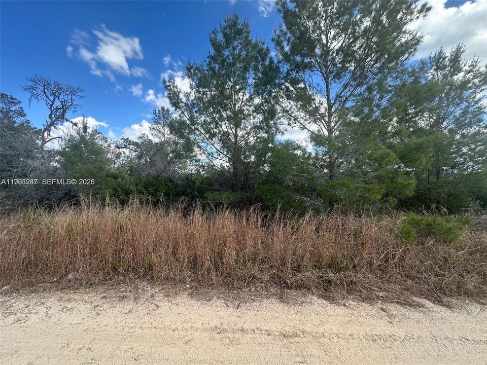 На продажу: $9,999 (0.26 acres)