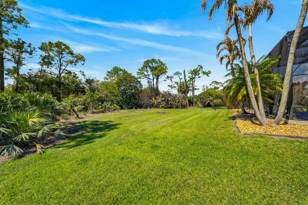 Back yard