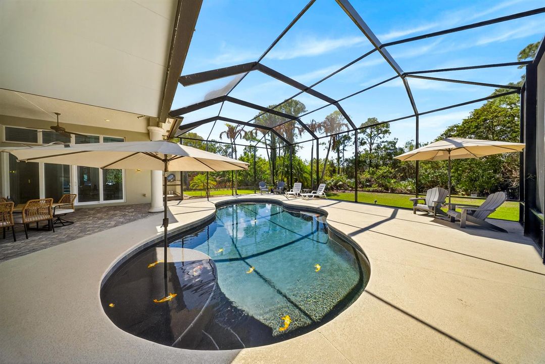 Pool facing back