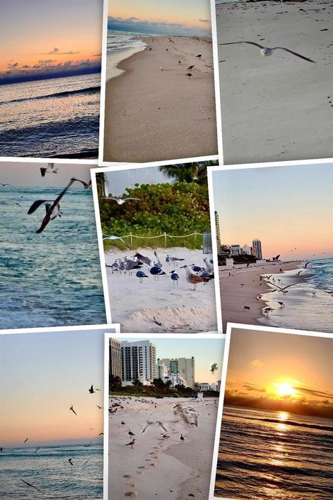 21 - SO. BEACH VIEWS