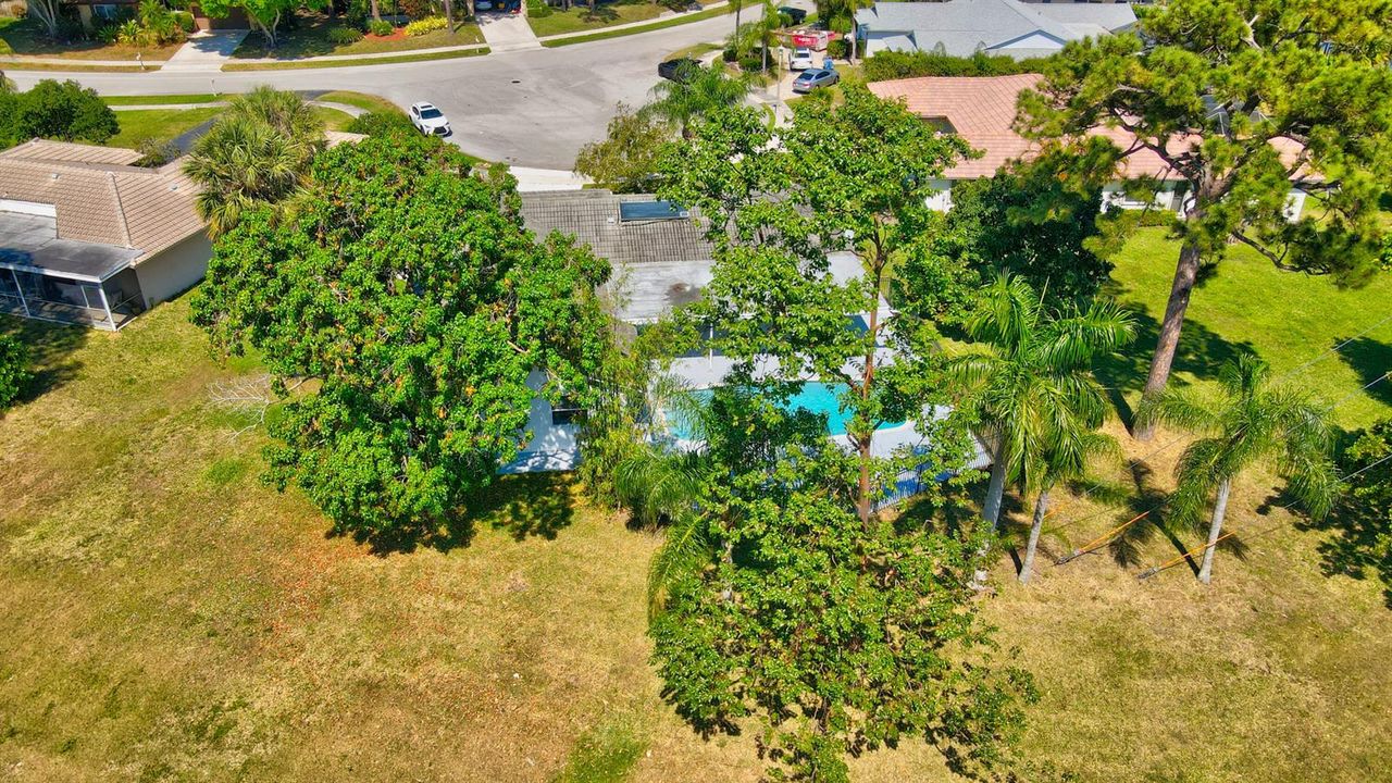 Very private yard