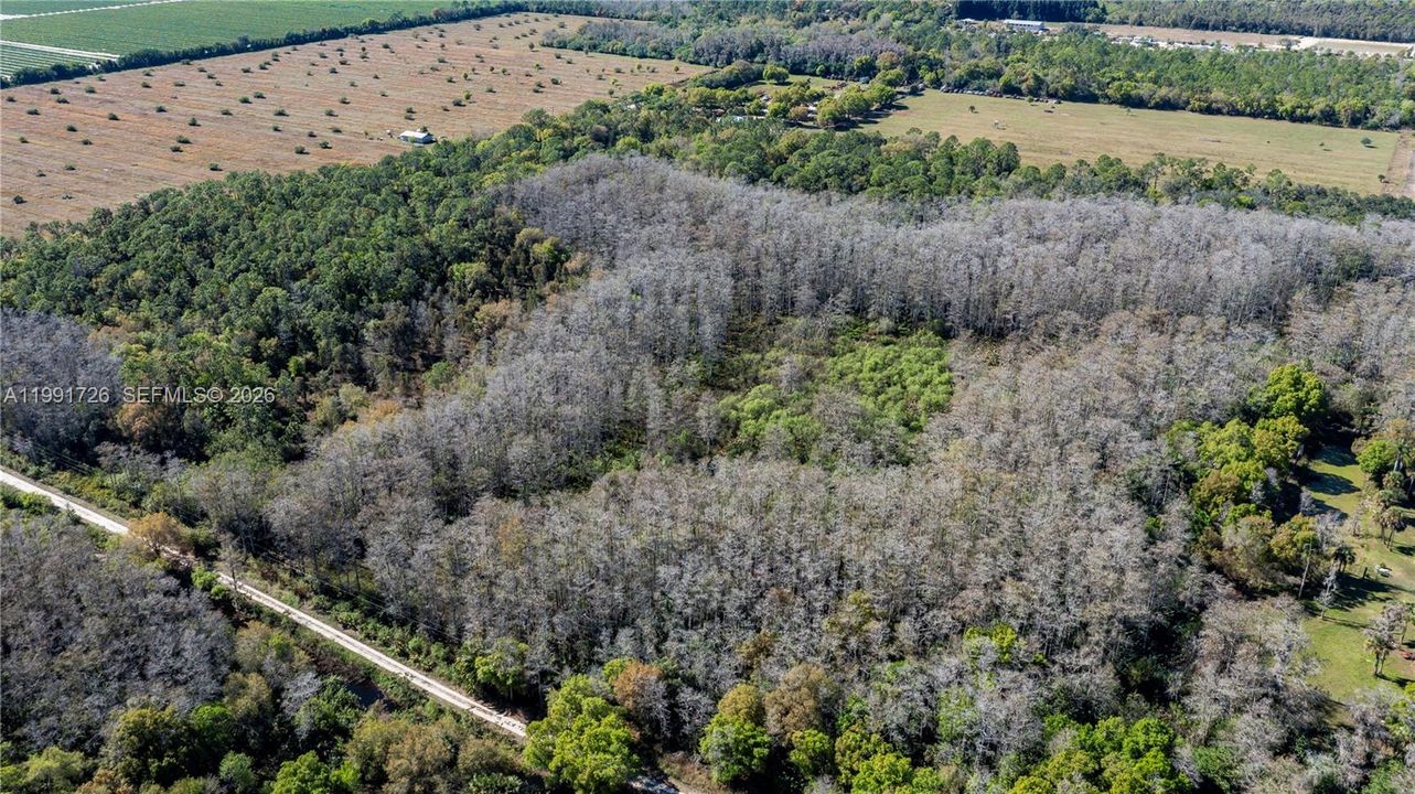 For Sale: $375,000 (0 beds, 0 baths, 0 Square Feet)