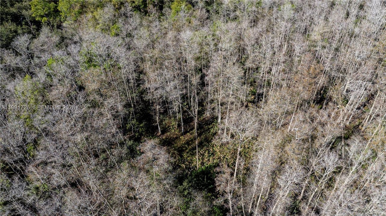 For Sale: $375,000 (0 beds, 0 baths, 0 Square Feet)