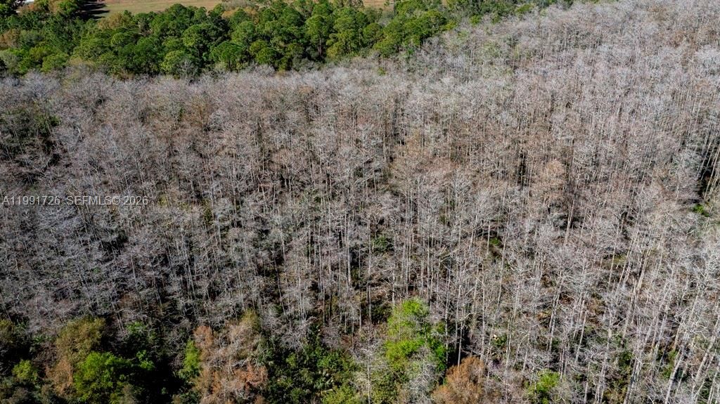 For Sale: $375,000 (0 beds, 0 baths, 0 Square Feet)