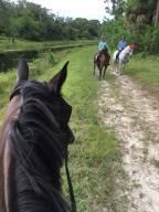 29 MILES OF BRIDLE PATHS