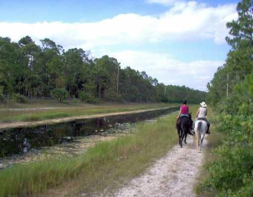 LOVELY HORSE TRAILS