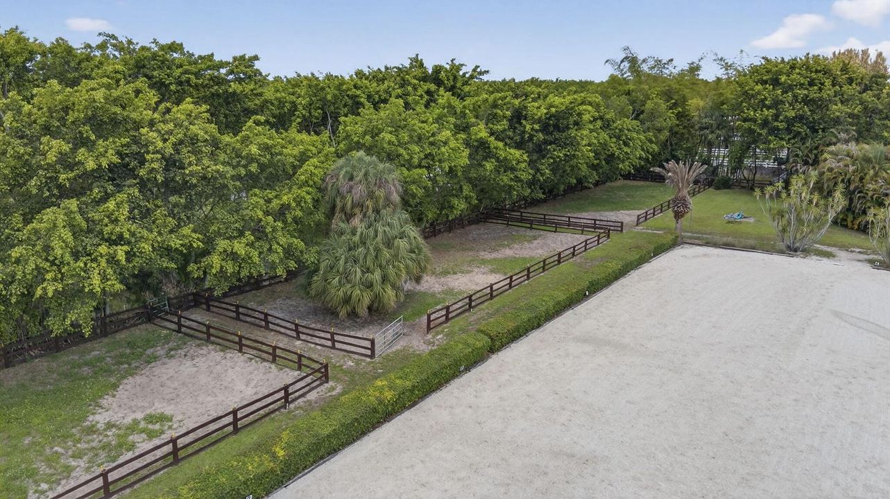 Ring Paddocks
