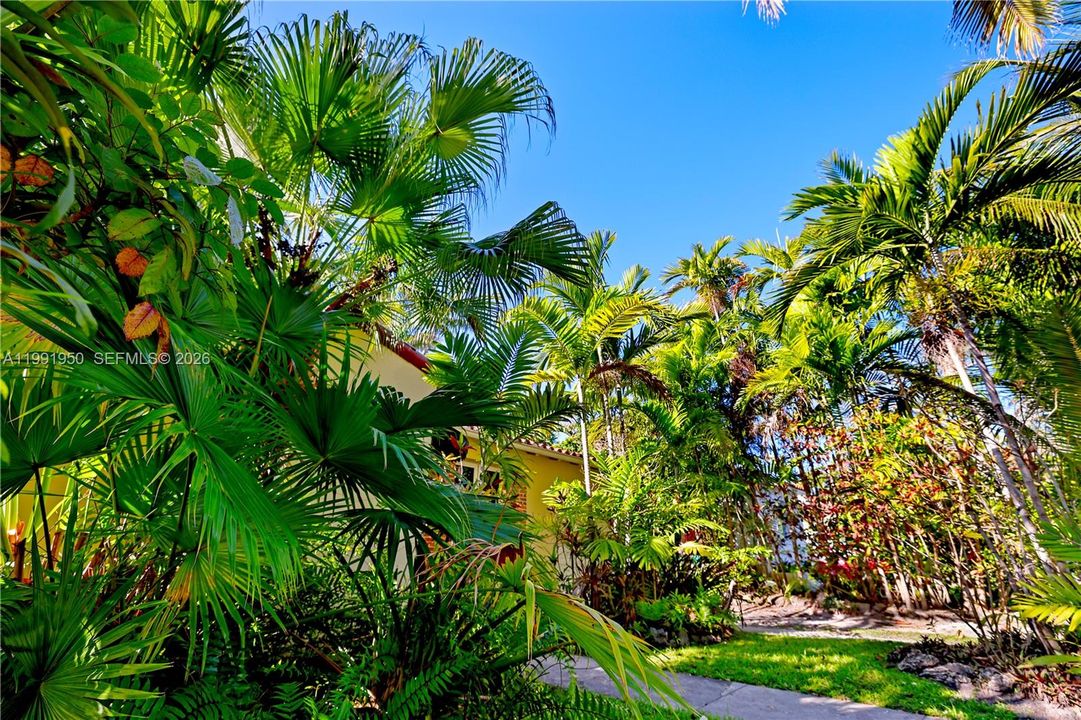 Front of home surrounded by mature palms and tropical greenery