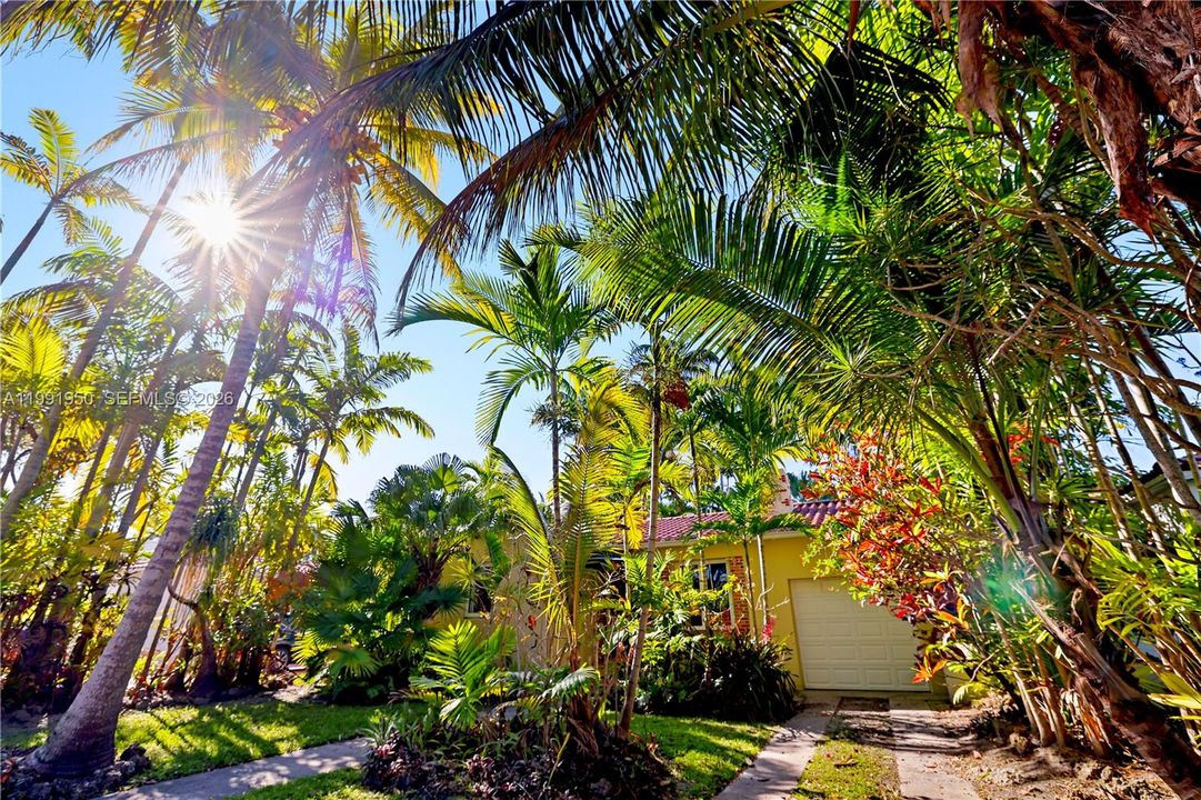 Tropical backyard retreat with shade, privacy, and room to expand