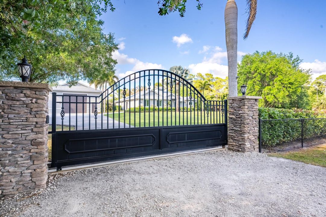 Electric Gate