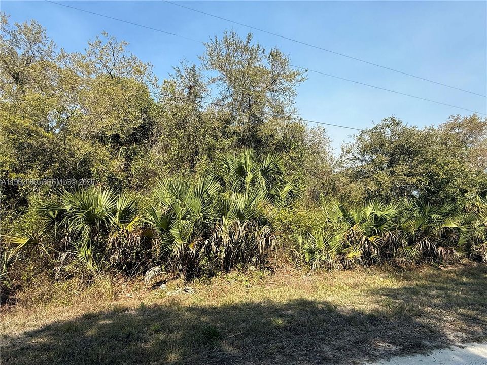 En Venta: $47,999 (1.25 acres)