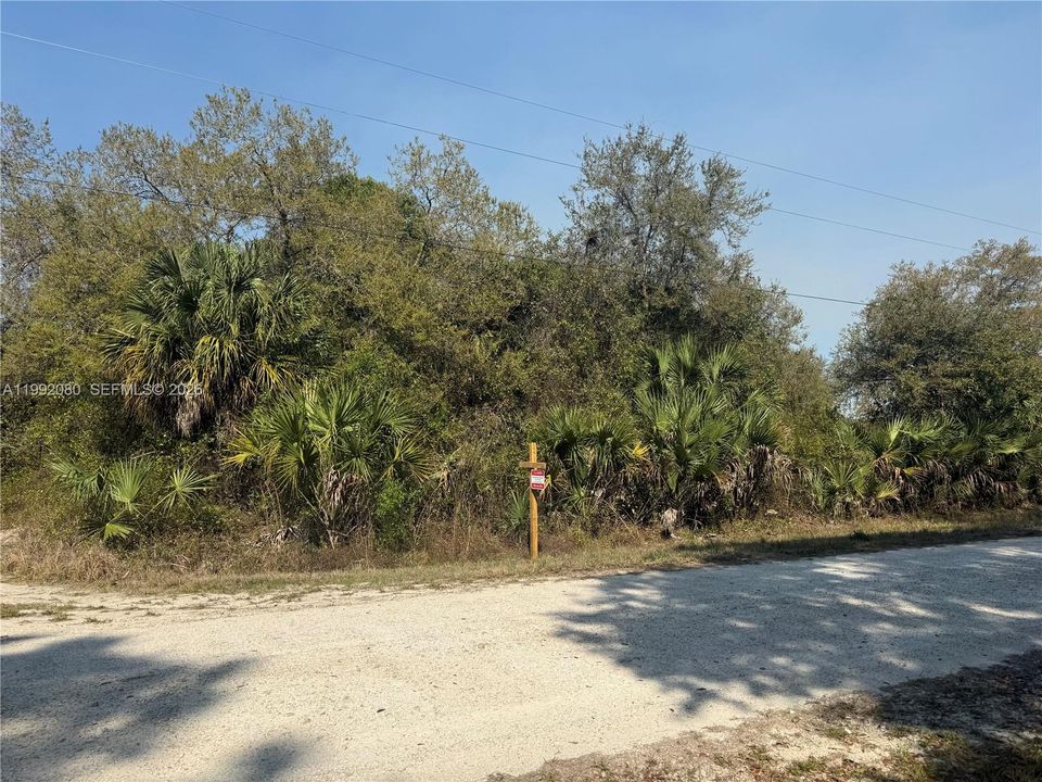 En Venta: $47,999 (1.25 acres)