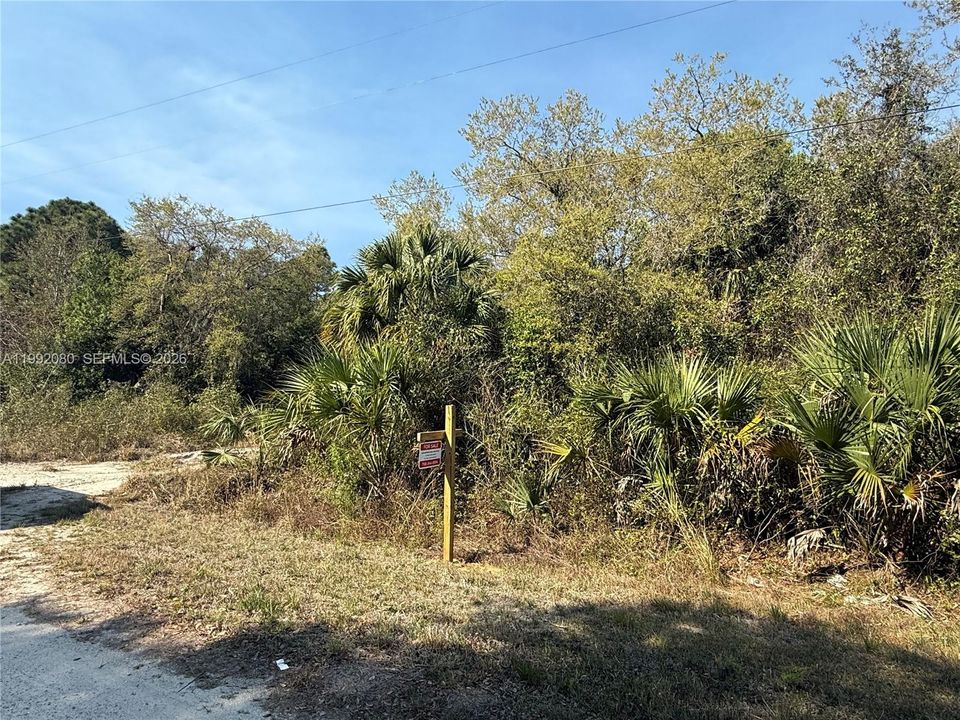 En Venta: $47,999 (1.25 acres)