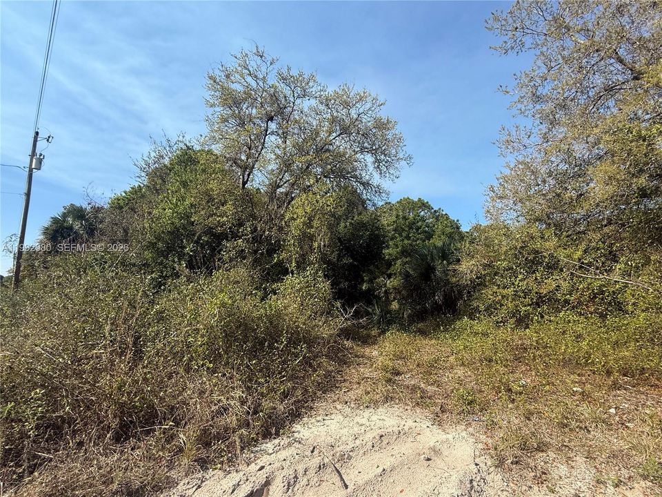 En Venta: $47,999 (1.25 acres)