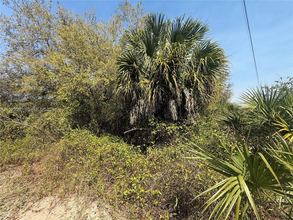En Venta: $47,999 (1.25 acres)