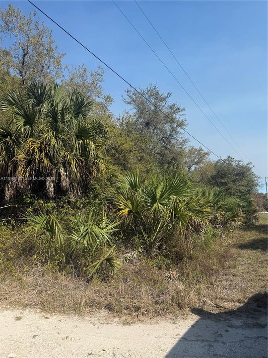 En Venta: $47,999 (1.25 acres)