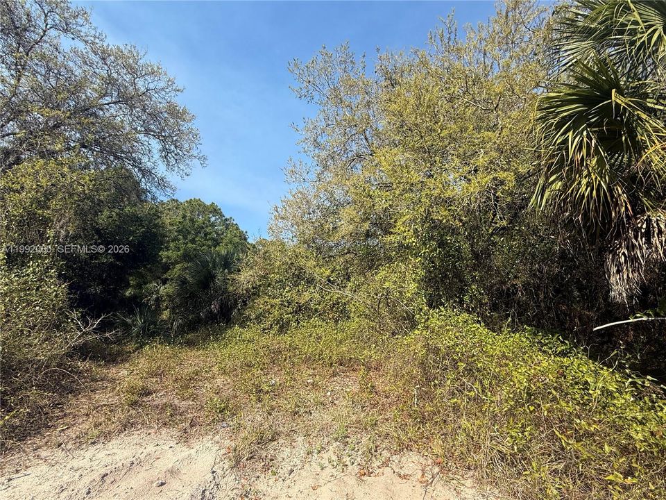 En Venta: $47,999 (1.25 acres)