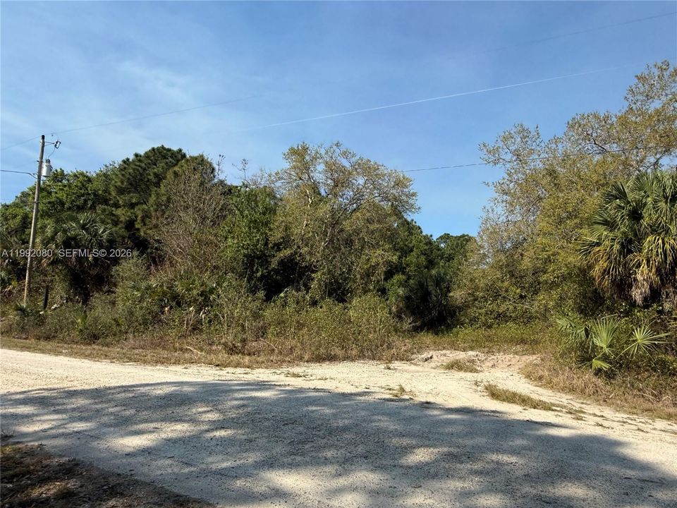 En Venta: $47,999 (1.25 acres)