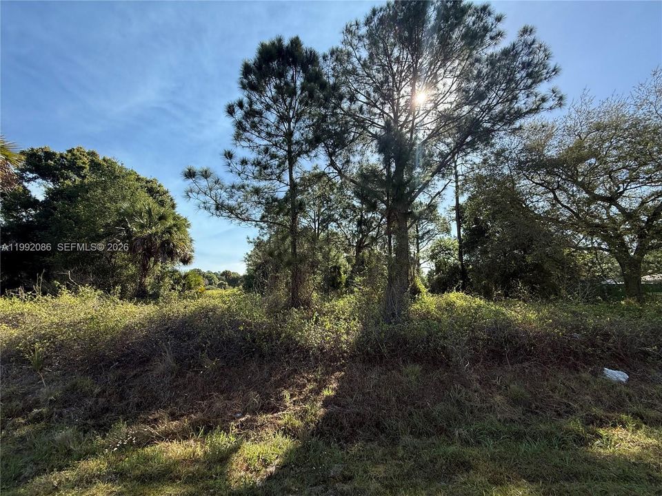 For Sale: $49,999 (1.25 acres)