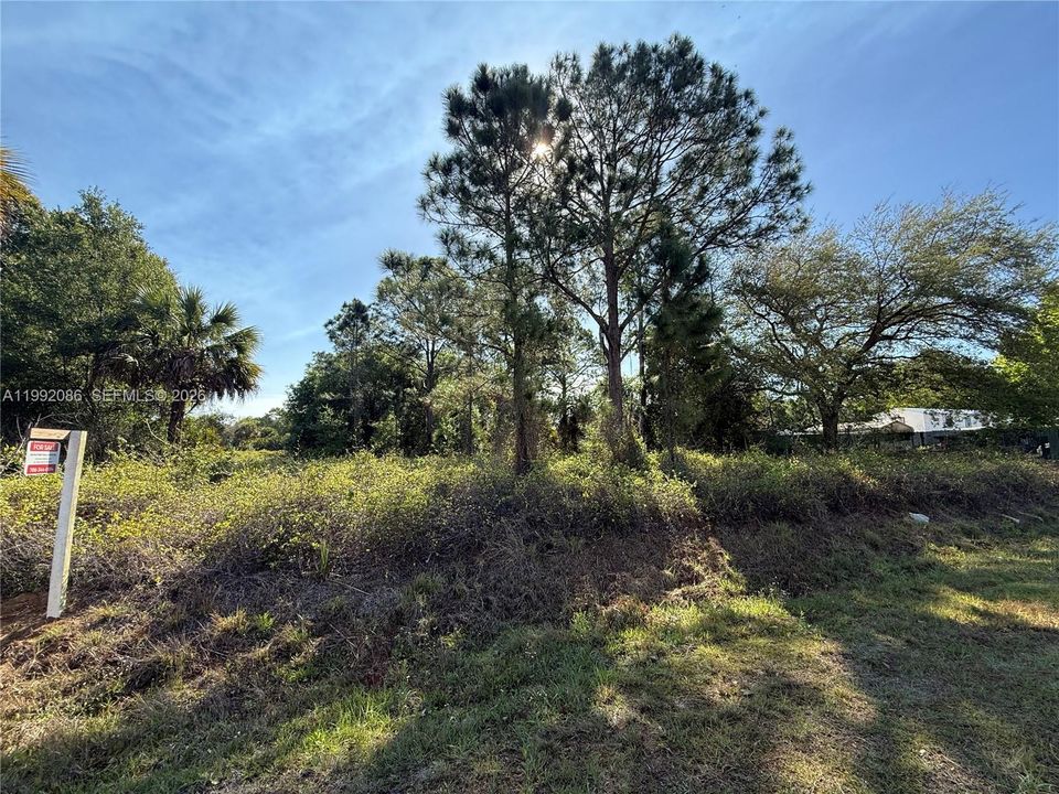 For Sale: $49,999 (1.25 acres)