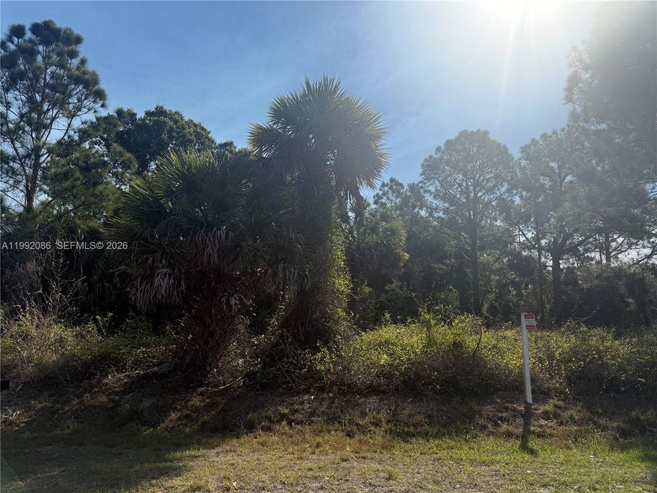 For Sale: $49,999 (1.25 acres)