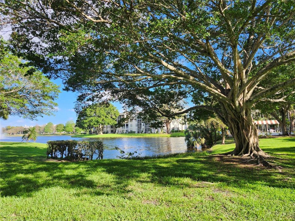 En Venta: $149,900 (1 camas, 1 baños, 870 Pies cuadrados)