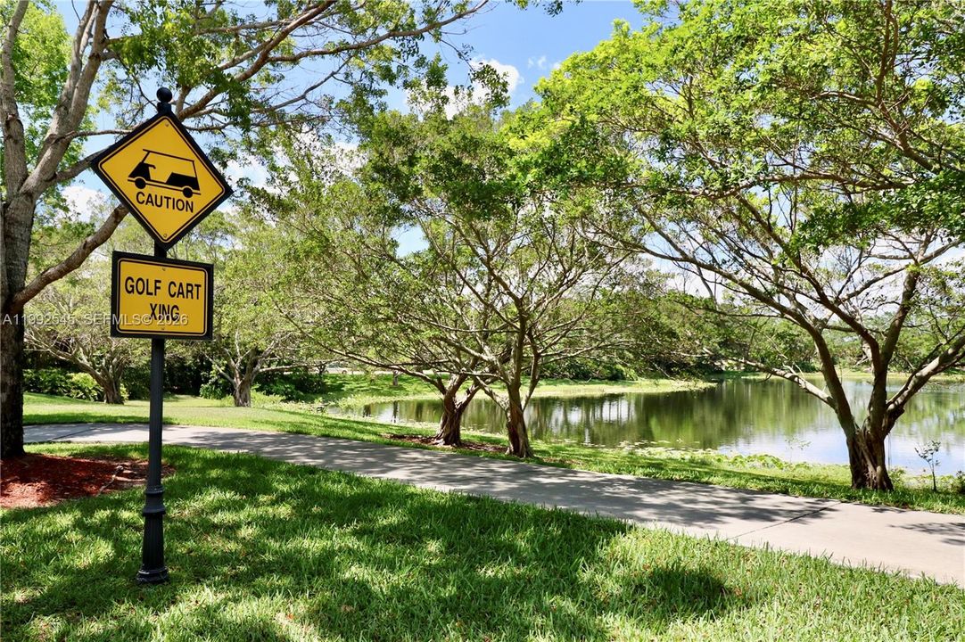 Golf cars path