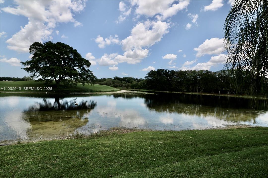 Lake view