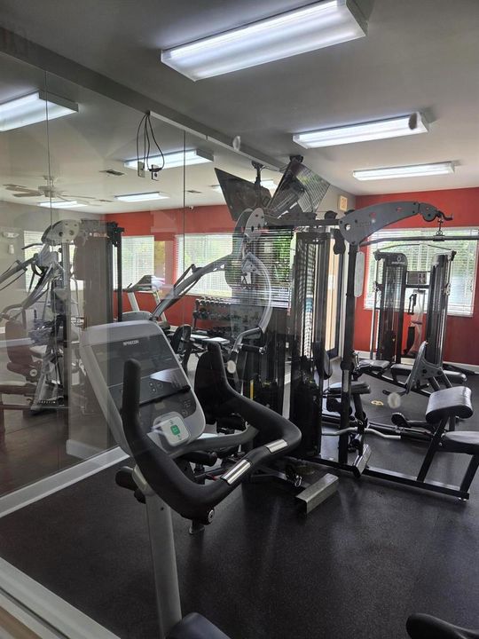 Gym 1