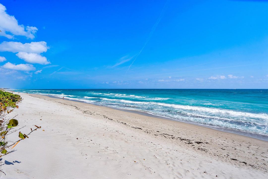 065-5460NorthOceanDrive-5B-SingerIsland-