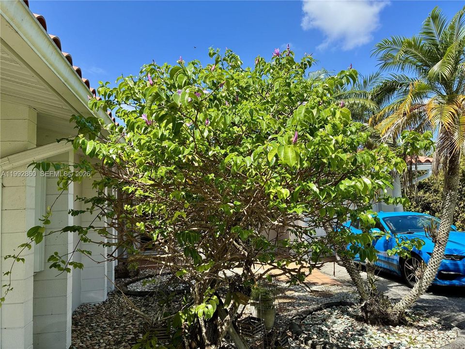 En Venta: $690,000 (5 camas, 3 baños, 1896 Pies cuadrados)