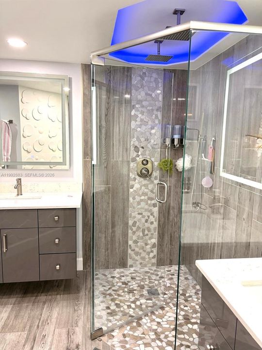 Various Lighting options Primary Shower