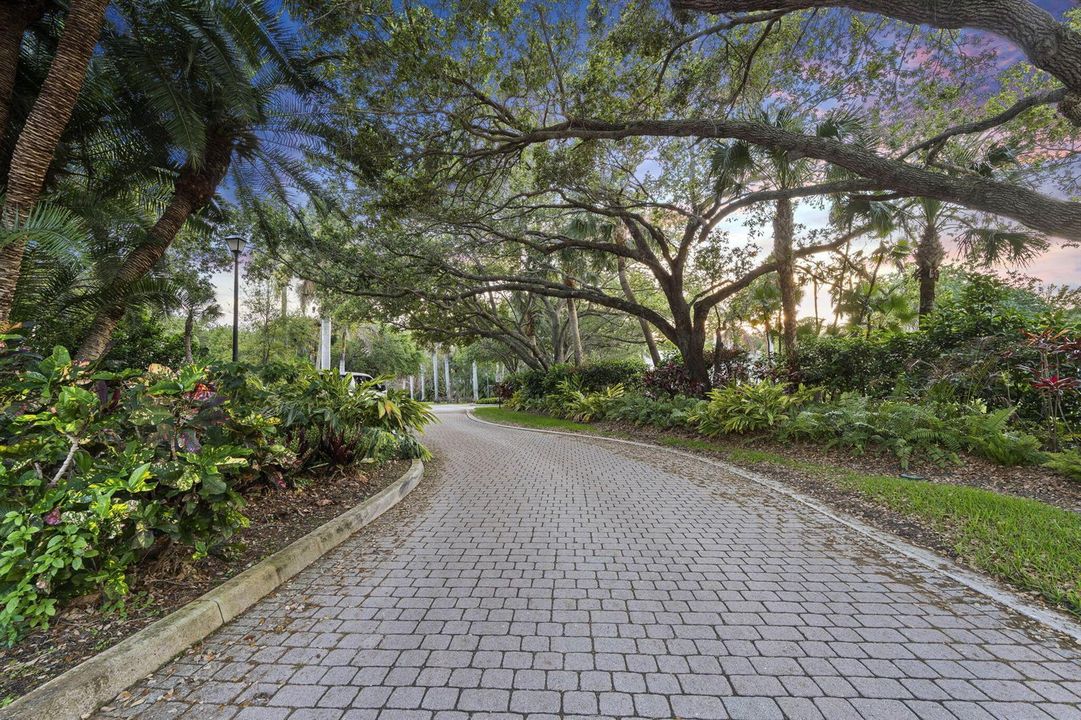 14-web-or-mls-DSC04584