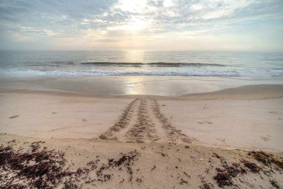 Vero-Beach-004-Print