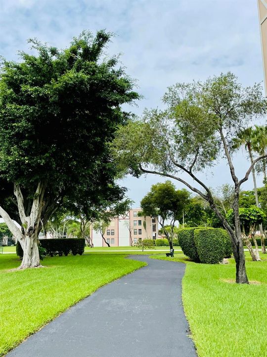 WALKING PATH ALONG THE BACK