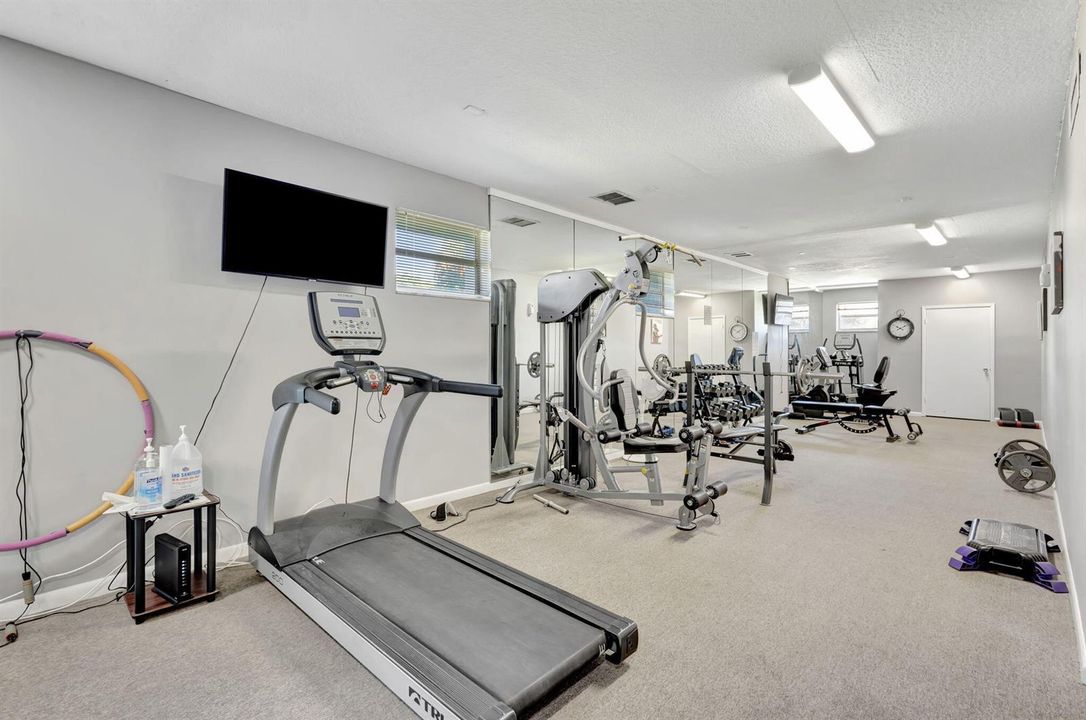 50-web-or-mls-5P1A2983