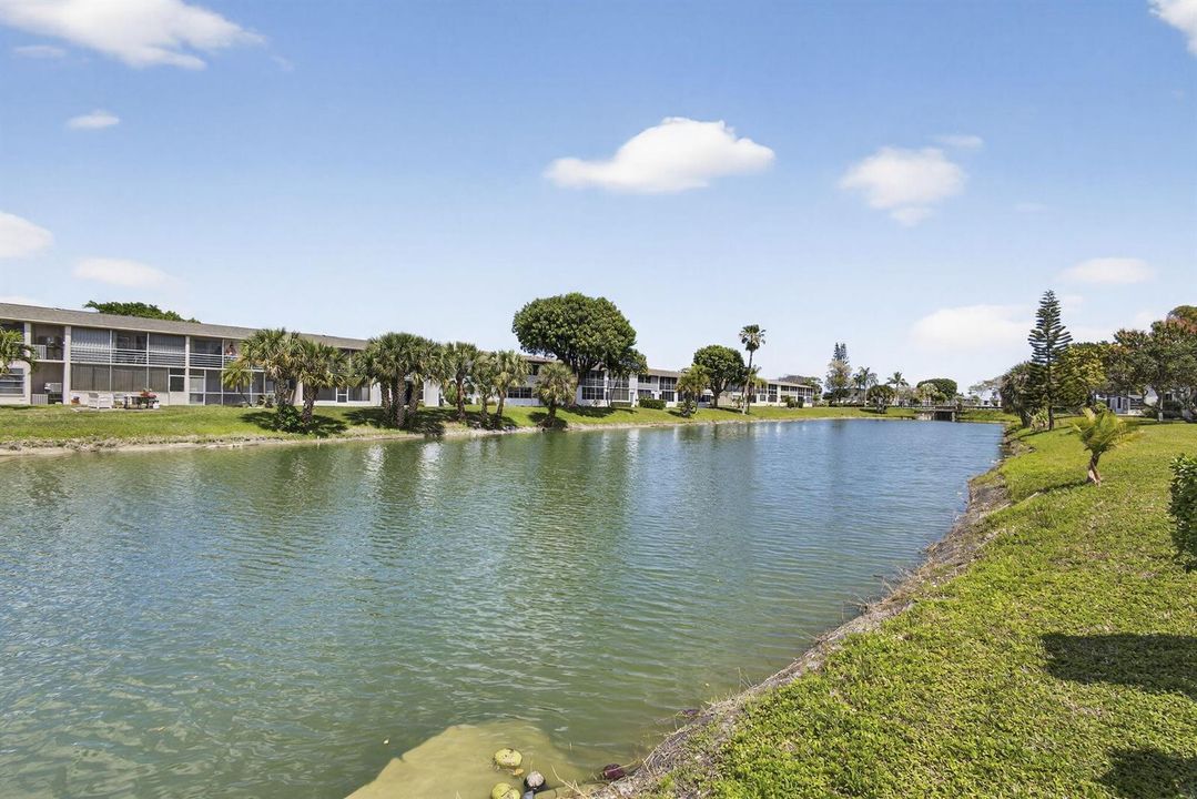 37-web-or-mls-Photo_1096
